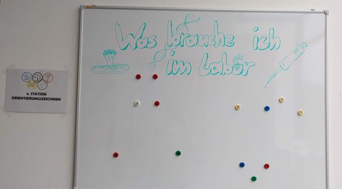 44