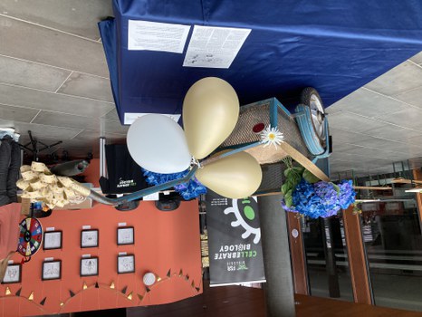 Sommerfest 2024