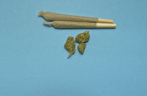 Two Joints and dried cannabis plant