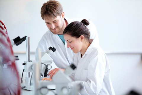 Laborarbeiten