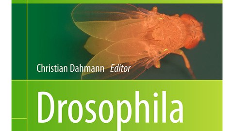 Cover of the book