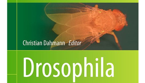 Cover of the book