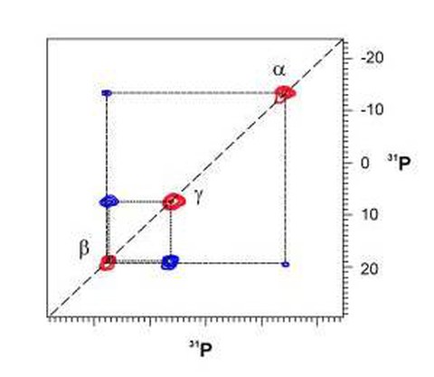 FK-NMR