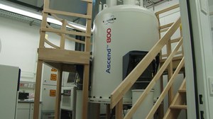 NMR800