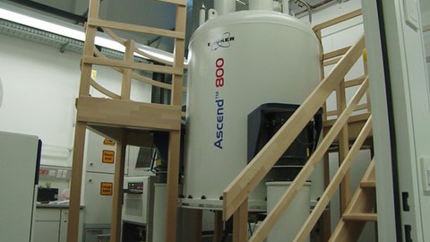 NMR800