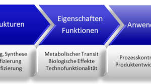 Forschungsstrategie