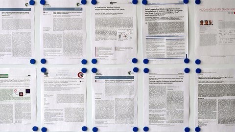 Publikationswand