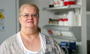 Frau Dziewiencki