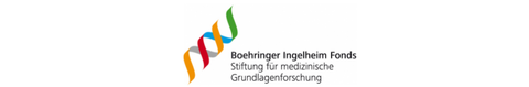 logo wide bif