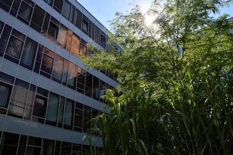 Neubau-Innenhof_3