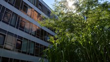 Neubau-Innenhof_3