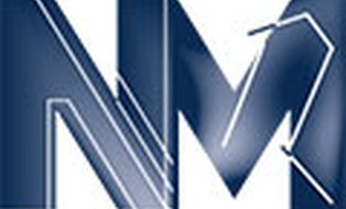 Logo des Institutes für Numerische Mathematik