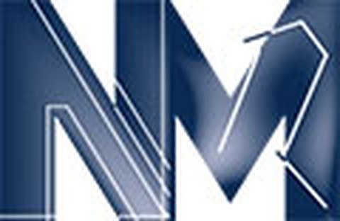 Logo des Institutes für Numerische Mathematik