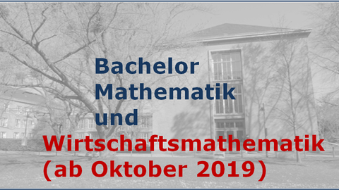 Ba-Wirtschaftsmathematik