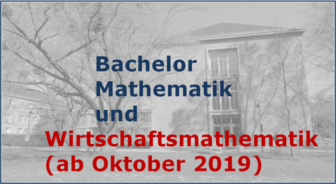 Ba-Wirtschaftsmathematik