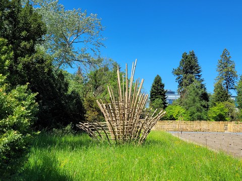 Ein Foto von der Fleur-de-Mathematik, einer Konstruktion aus Bambusstangen in Form einer Blüte
