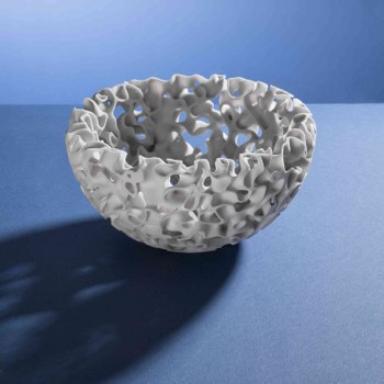 Evolving Bowl von der Seite