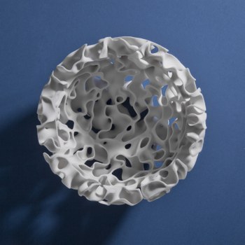 Evolving Bowl von oben