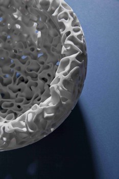 Evolving Bowl von oben Nahaufnahme