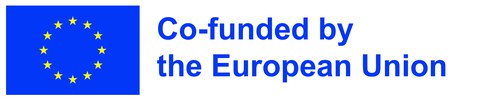 Steam_CT - EN Co-funded by the EU_POS.jpg