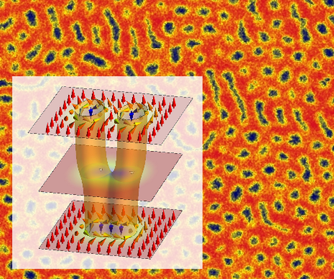 skyrmions in FeCoSi