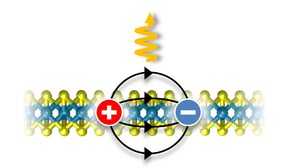 Exzitonische Lichtemitter