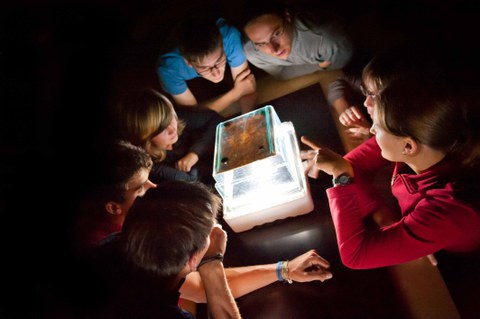 Schüler betrachten eine Nebelkammer