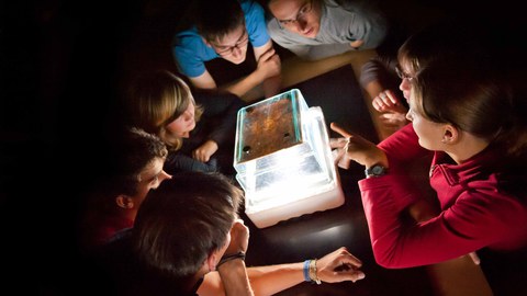 Schüler betrachten eine Nebelkammer