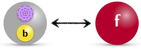 Particle-vortex duality