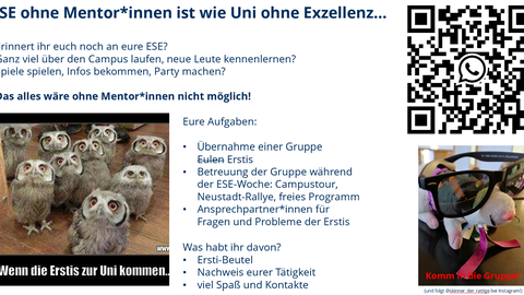 ESE ohne Mentor*innen ist wie Uni ohne Exzellenz…ESE ohne Mentor*innen ist wie Uni ohne Exzellenz…