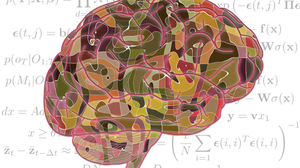 Research: Brainz