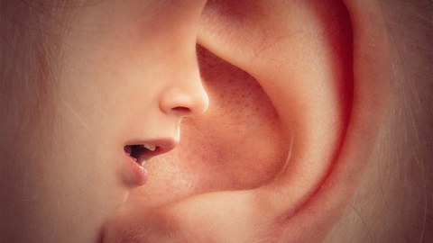 Ear