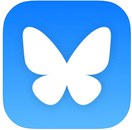 Zu sehen ist ein blauer Schmetterling