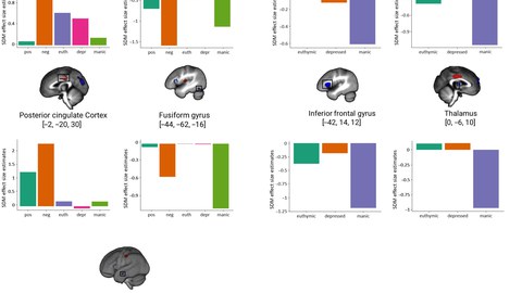 Förster et al. in Bipolar Disorders