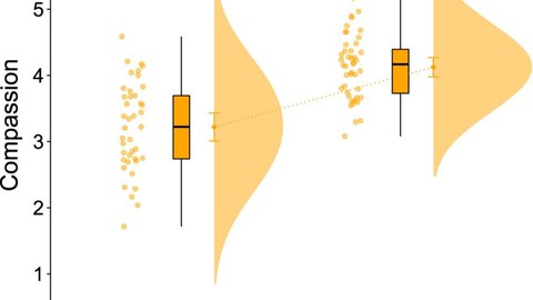 Grafik die die Verteilung nach Mitgefühl und Alter zeigt