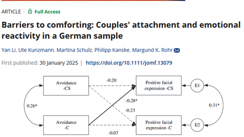 Yan Li et al. 2024 Barriers to comforting