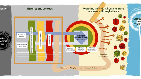 Graphical Abstract