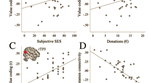 Schulreich_et_al_(2023)
