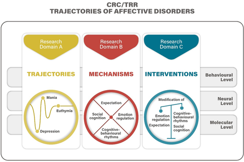 Research domain descriptions of TRR393 consortium