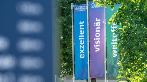 Flaggen mit den Worten visionär und exzellent