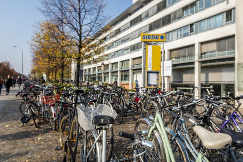  Fahrräder stehen auf dem Fußweg vor dem Eingang zum Siedepunkt der TU Dresden im Herbst.