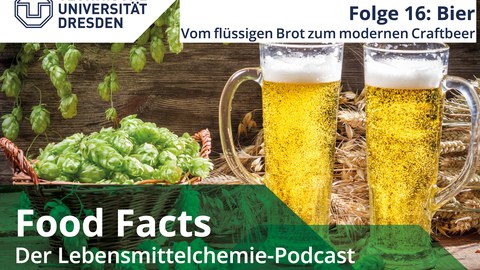 Hopfen, Gerste und zwei Gläser Bier