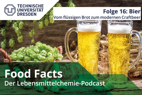 Hopfen, Gerste und zwei Gläser Bier