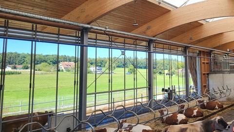 Moderne Dachkonstruktion aus Holz im Offenstall Aulendorf