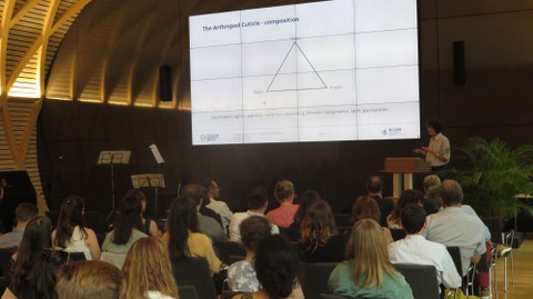 Der Saal ist voller Menschen. Auf der Powerpoint ist jetzt eine Präsentation