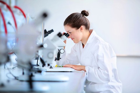 Photo of a woman in the lab. She sits at a table and works at the microscope.