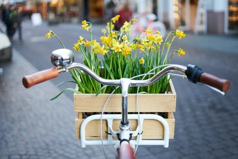 Fahrrad mit gelben Narzissen im Fahrradkorb aus Weiden.