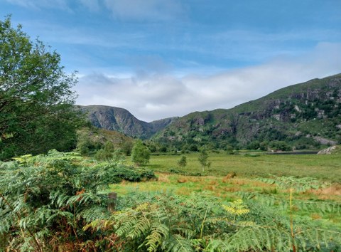 Rocky hills full of green
