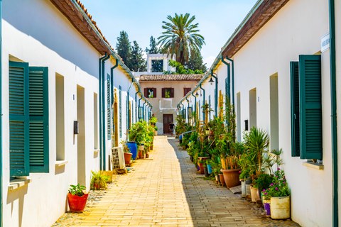 cozy street with white-washed houses and plants