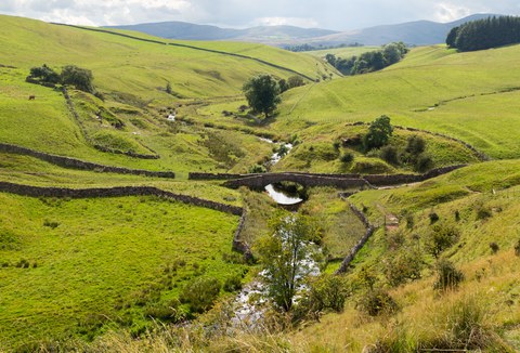 landscape with rolling green fields parted by a river with a picturesque stone bridge. You would expect a Hobbit to walk over it any minute